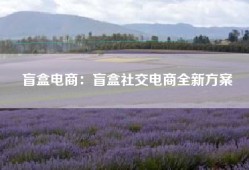 盲盒电商：盲盒社交电商全新方案