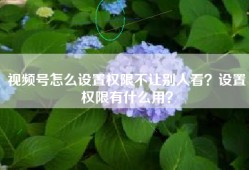 视频号怎么设置权限不让别人看？设置权限有什么用？