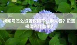 视频号怎么设置权限不让别人看？设置权限有什么用？