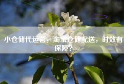 小仓储代运营，淘宝仓储配送，时效有保障？