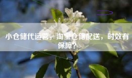小仓储代运营，淘宝仓储配送，时效有保障？
