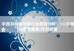 中国羽绒服市场行业数据分析：35%白领消费者拥有2件羽绒服