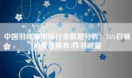 中国羽绒服市场行业数据分析：35%白领消费者拥有2件羽绒服