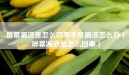 屏幕漏液是怎么回事手机漏液怎么办「屏幕漏液是怎么回事」