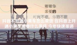 抖音不开通小黄车怎么卖货 在抖音上开通小黄车需要什么条件 今年快速渠道