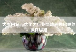 大型网站seo优化之行业网站seo优化具体操作思路