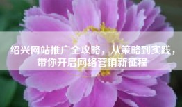 绍兴网站推广全攻略，从策略到实践，带你开启网络营销新征程