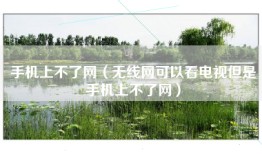手机上不了网（无线网可以看电视但是手机上不了网）