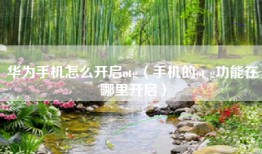 华为手机怎么开启otg（手机的ot g功能在哪里开启）