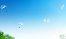 八九不分合吉三是什么生肖，精准解释落实
