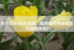 全方位SEO优化指南，高效提升网站排名，引流精准用户