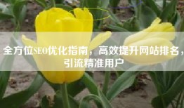 全方位SEO优化指南，高效提升网站排名，引流精准用户