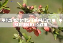 手机处理器起什么作用手机的作用「手机处理器起什么作用」