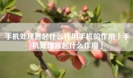 手机处理器起什么作用手机的作用「手机处理器起什么作用」