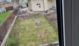 旅乌华人：我在乌克兰看到的战争这是我的战争手机版「旅乌华人：我在乌克兰看到的战争」