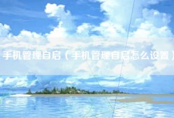 手机管理自启（手机管理自启怎么设置）