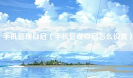 手机管理自启（手机管理自启怎么设置）