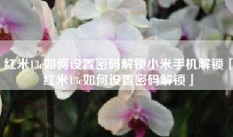 红米13c如何设置密码解锁小米手机解锁「红米13c如何设置密码解锁」