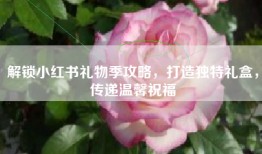 解锁小红书礼物季攻略，打造独特礼盒，传递温馨祝福
