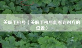 关联手机号（关联手机号能看到对方的位置）