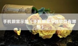 手机做显示器（手机做显示器软件有哪些）