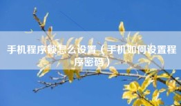 手机程序锁怎么设置（手机如何设置程序密码）