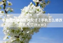 手机怎么修改照片尺寸（手机怎么修改照片尺寸120×60）