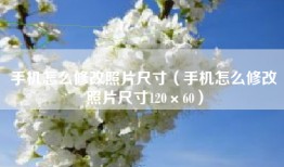 手机怎么修改照片尺寸（手机怎么修改照片尺寸120×60）