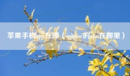 苹果手机apn在哪（iphone的apn在哪里）