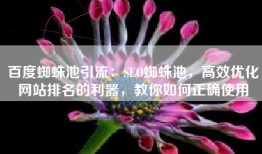 百度蜘蛛池引流：SEO蜘蛛池，高效优化网站排名的利器，教你如何正确使用