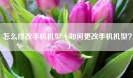 怎么修改手机机型（如何更改手机机型？）