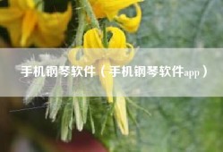 手机钢琴软件（手机钢琴软件app）