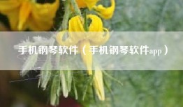 手机钢琴软件（手机钢琴软件app）