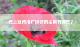 线上宣传推广运营的渠道有哪些？