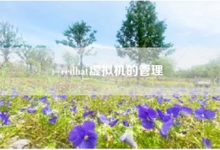 redhat虚拟机的管理