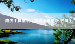路虎手机壁纸（路虎手机壁纸 竖屏）
