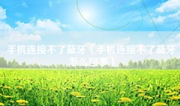 手机连接不了蓝牙（手机连接不了蓝牙怎么回事）