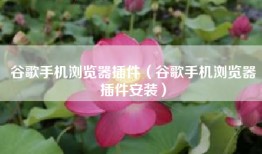 谷歌手机浏览器插件（谷歌手机浏览器插件安装）