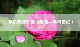 手机奔驰壁纸（奔驰suv手机壁纸）