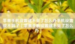 苹果手机设置键不见了怎么办手机设置找不到了「苹果手机设置键不见了怎么办」