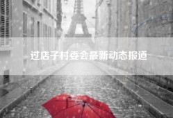 过店子村委会最新动态报道