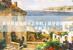 蓝牙音箱连接不上手机（蓝牙音箱连接不上手机了）