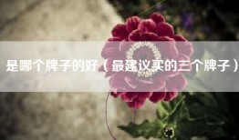 是哪个牌子的好（最建议买的三个牌子）