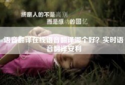 语音翻译在线语音翻译哪个好？实时语音翻译安利