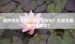铜锣湾房子的投资价值如何？区域发展潜力有哪些？