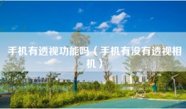 手机有透视功能吗（手机有没有透视相机）