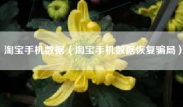 淘宝手机数据（淘宝手机数据恢复骗局）