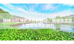探秘小红书达人分析网站，揭秘各类达人类型及其影响力