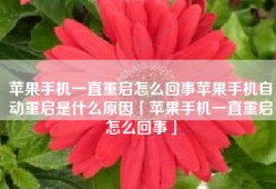 苹果手机一直重启怎么回事苹果手机自动重启是什么原因「苹果手机一直重启怎么回事」