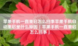苹果手机一直重启怎么回事苹果手机自动重启是什么原因「苹果手机一直重启怎么回事」